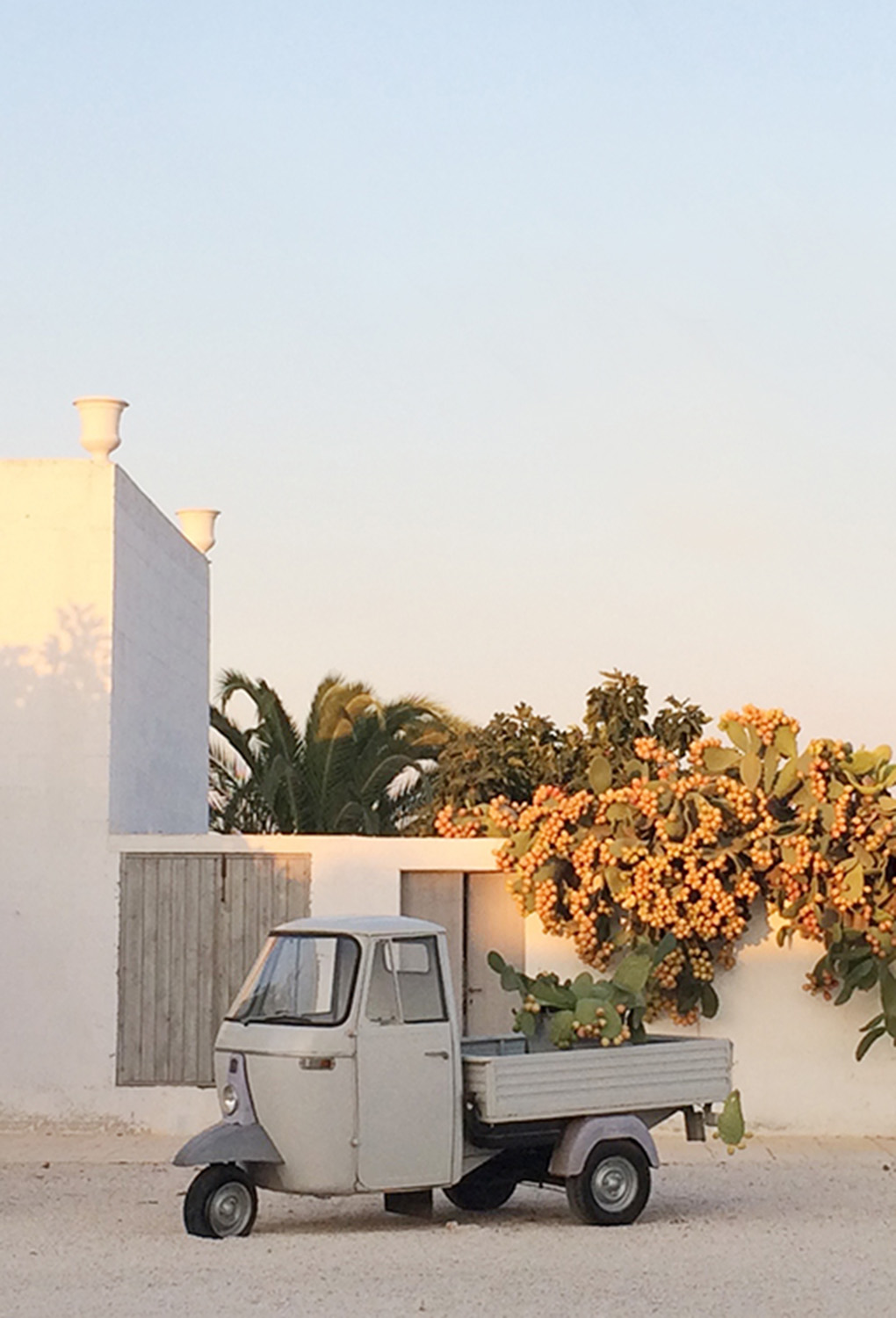 Nourish The Adventure - 6